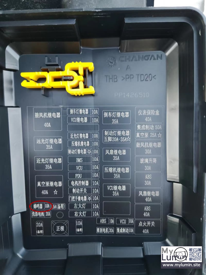 蜂鸣音1.jpg